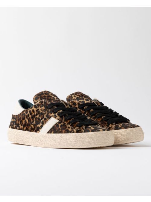  DATE | HILL LOW PONYLEOPARD